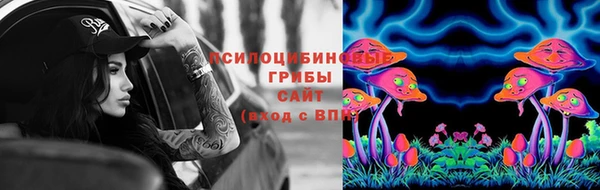 spice Новокубанск