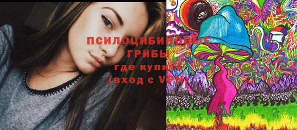 стаф Новодвинск