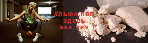стаф Новодвинск
