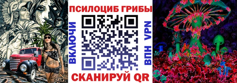 закладка Горнозаводск ОМГ ОМГ рабочий сайт Псилоцибиновые грибы Psilocybe